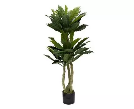 Папоротник гнездовой в горшке Garda Decor