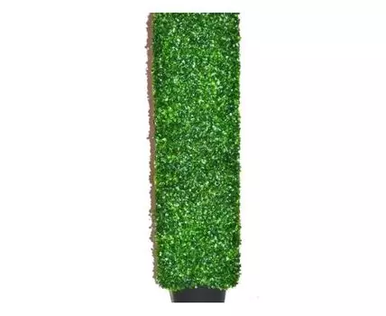 Пирамида из самшита Фуджи