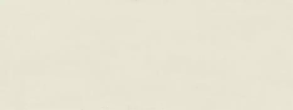 ПЛИТКА 0093351 Canvas