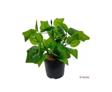 Плющ мини Люк Latex