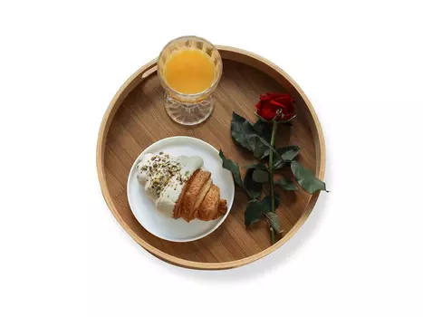 Поднос SHT-TR2