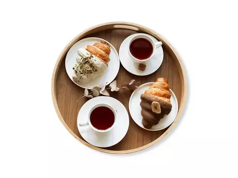 Поднос SHT-TR4