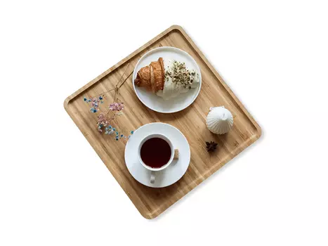 Поднос SHT-TR6