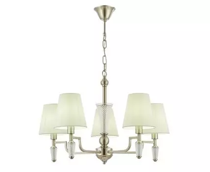 Подвесная люстра Evoluce REIMO