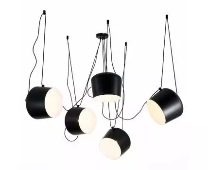 Подвесная люстра Evoluce TRIESTE