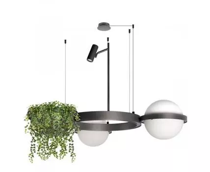 Подвесная люстра Loft IT Jardin