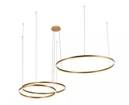 Подвесная люстра Loft IT Ring