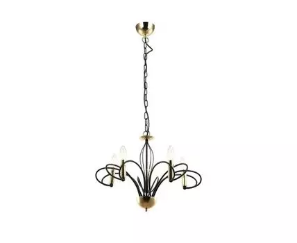 Подвесная люстра Lussole Powell (Черный)