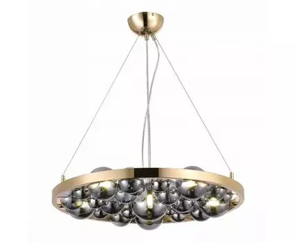 Подвесная люстра ST Luce Olmi