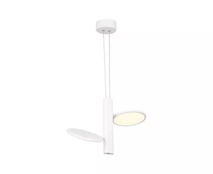 Подвесная светодиодная люстра Loft Aberdeen