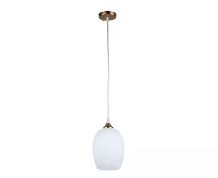 Подвесной светильник Arte Lamp PROPUS