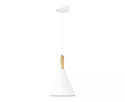 Подвесной светильник EVOLUCE ARKET