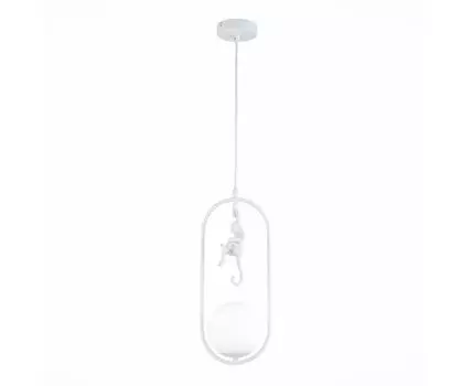 Подвесной светильник Evoluce с мартышкой TENATO