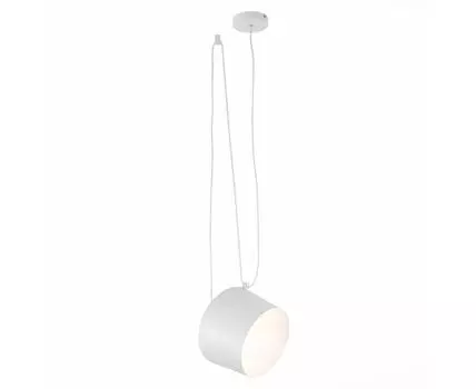 Подвесной светильник Evoluce TRIESTE