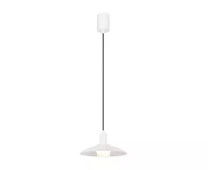 Подвесной светильник Favourite Baster