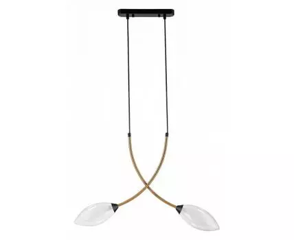 Подвесной светильник Indigo Fiore 13001/2P Black