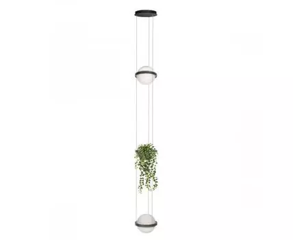 Подвесной светильник Loft IT Jardin