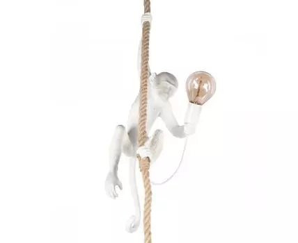 Подвесной светильник Loft IT Monkey