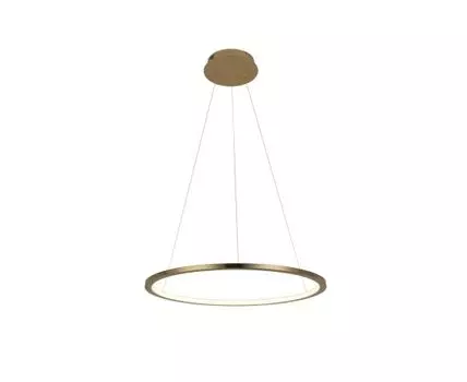 Подвесной светильник Loft IT Ring
