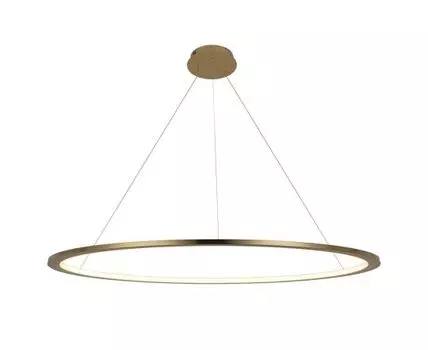 Подвесной светильник Loft IT Ring
