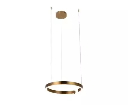 Подвесной светильник Loft IT Ring