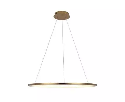 Подвесной светильник Loft IT Ring