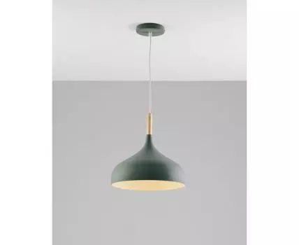 Подвесной светильник Moderli V1296-1P Eline 1*E27*60W