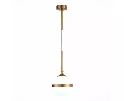 Подвесной светильник ST Luce ARBE