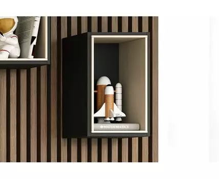 Полка Интро