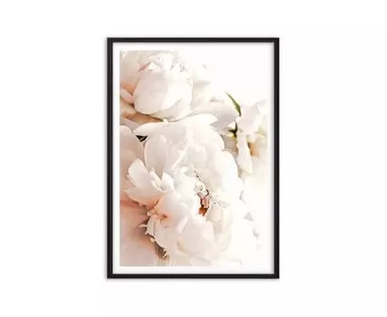 Постер Белые пионы