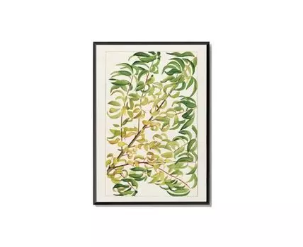 Постер BRANCH OF PEACH