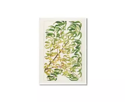 Постер BRANCH OF PEACH