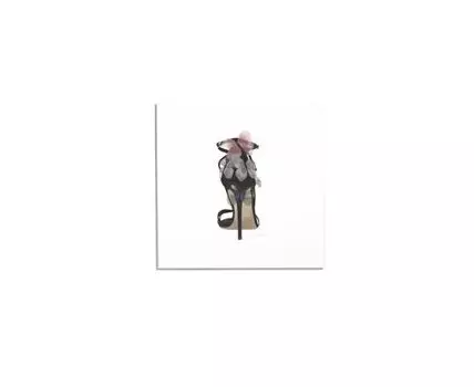 Постер D&G SHOE TO FLY