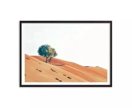 Постер Деревья в пустыне