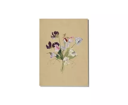 Постер FLOWER STUDY - 50x70 см (фиолетовый, бежевый, 50)