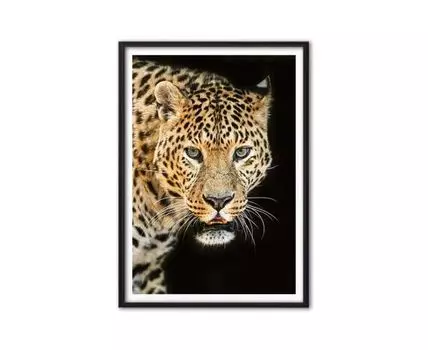 Постер Леопард