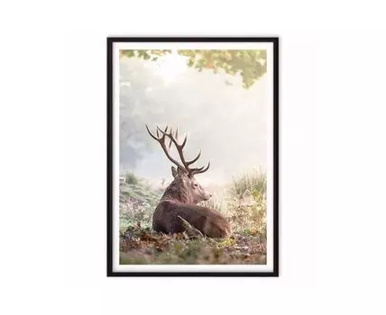 Постер Олень в лесу