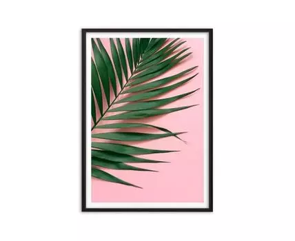Постер Пальмовый лист