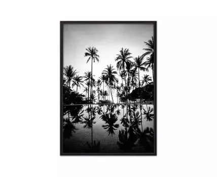 Постер Пальмы у бассейна