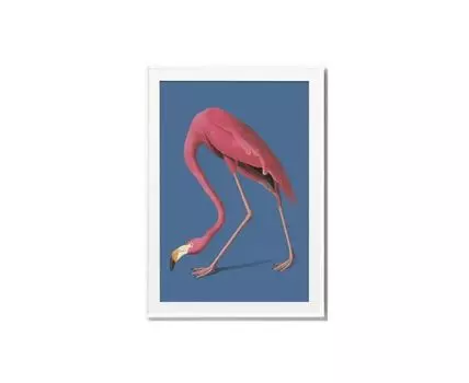 Постер PINK FLAMINGO