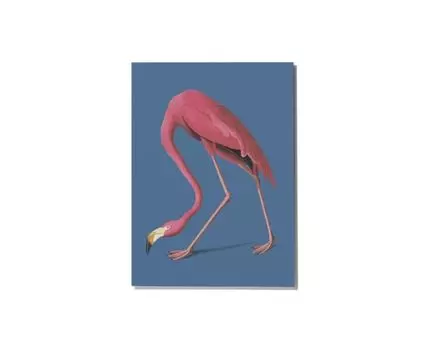 Постер PINK FLAMINGO - 50x70 см (розовый, голубой, 50)
