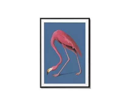 Постер PINK FLAMINGO (розовый, голубой, черный, 30)