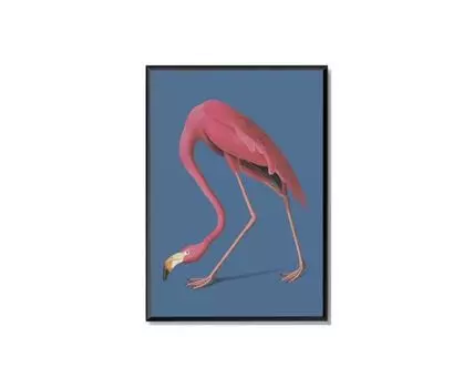 Постер PINK FLAMINGO (розовый, голубой, черный, 40)