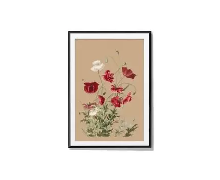 Постер POPPIES