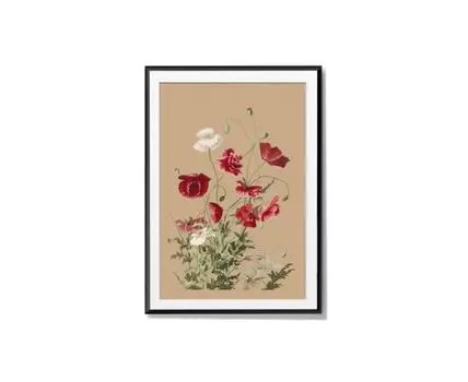 Постер POPPIES (красный, белый, черный, 40)