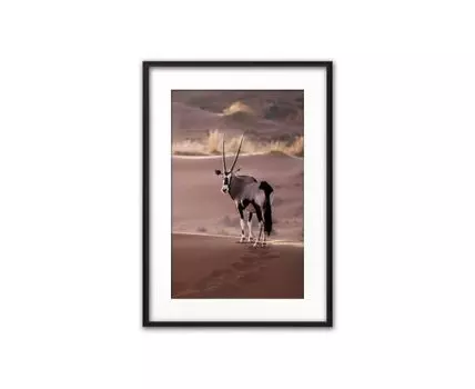 Постер в рамке Антилопа Гну 50х70 см (Серый, 70)