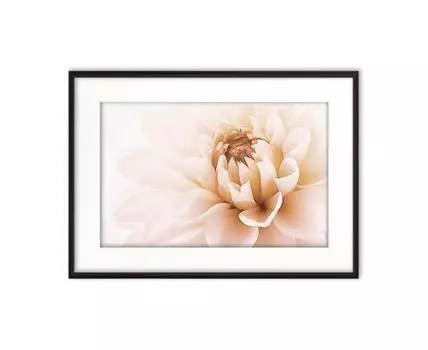 Постер в рамке Астра