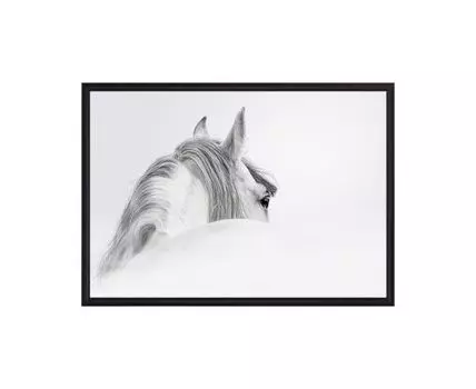 Постер в рамке Белая лошадь 1 30х40 см (Белый, 40)