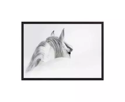 Постер в рамке Белая лошадь 1 40х60 см (Белый, 60)