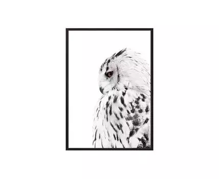 Постер в рамке Белая сова 50х70 см (зеленый, коричневый, 70)